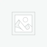 Dehumidifier 733S